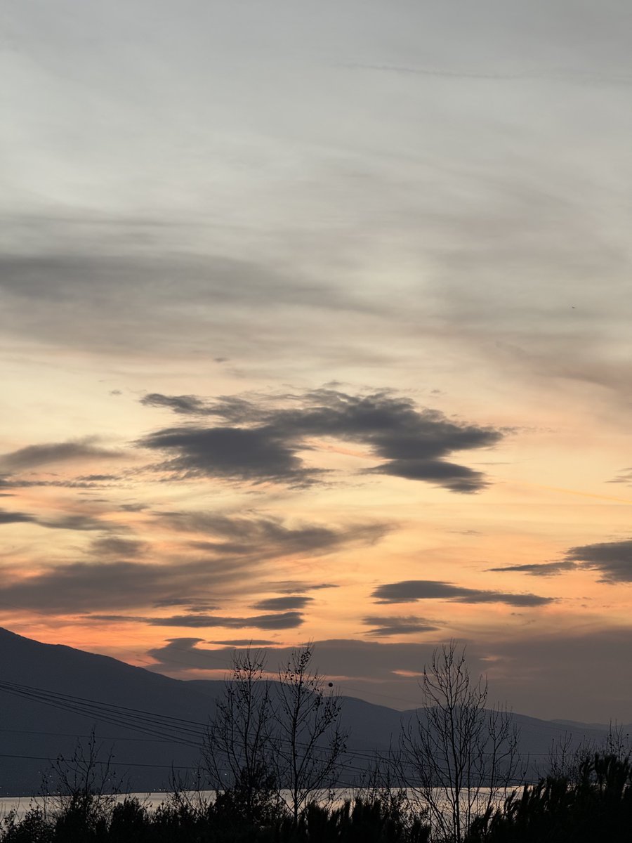 218mly's tweet image. 