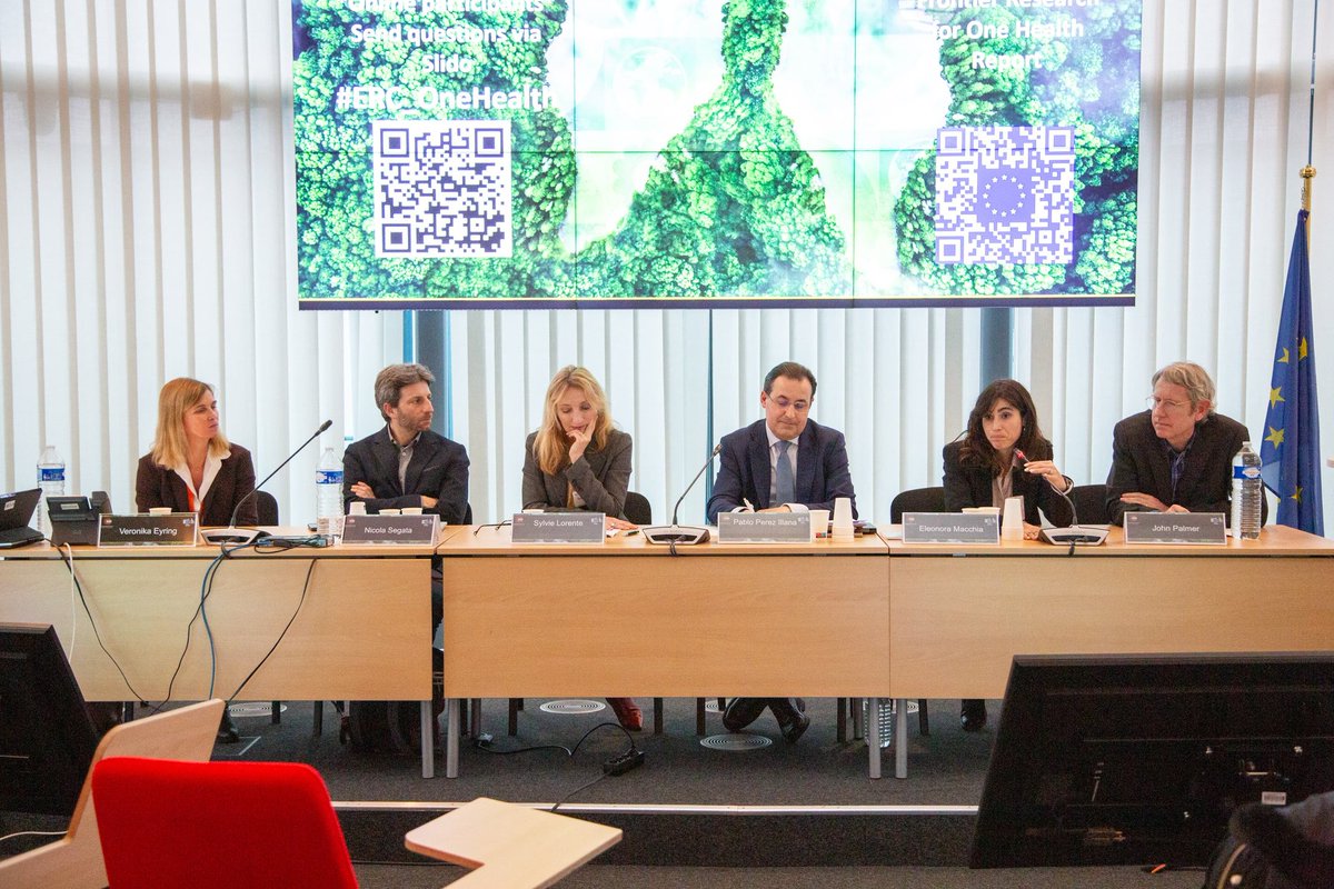 Eleonora Macchia tweet media