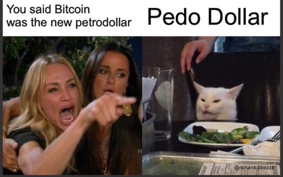 Fomocap tweet media