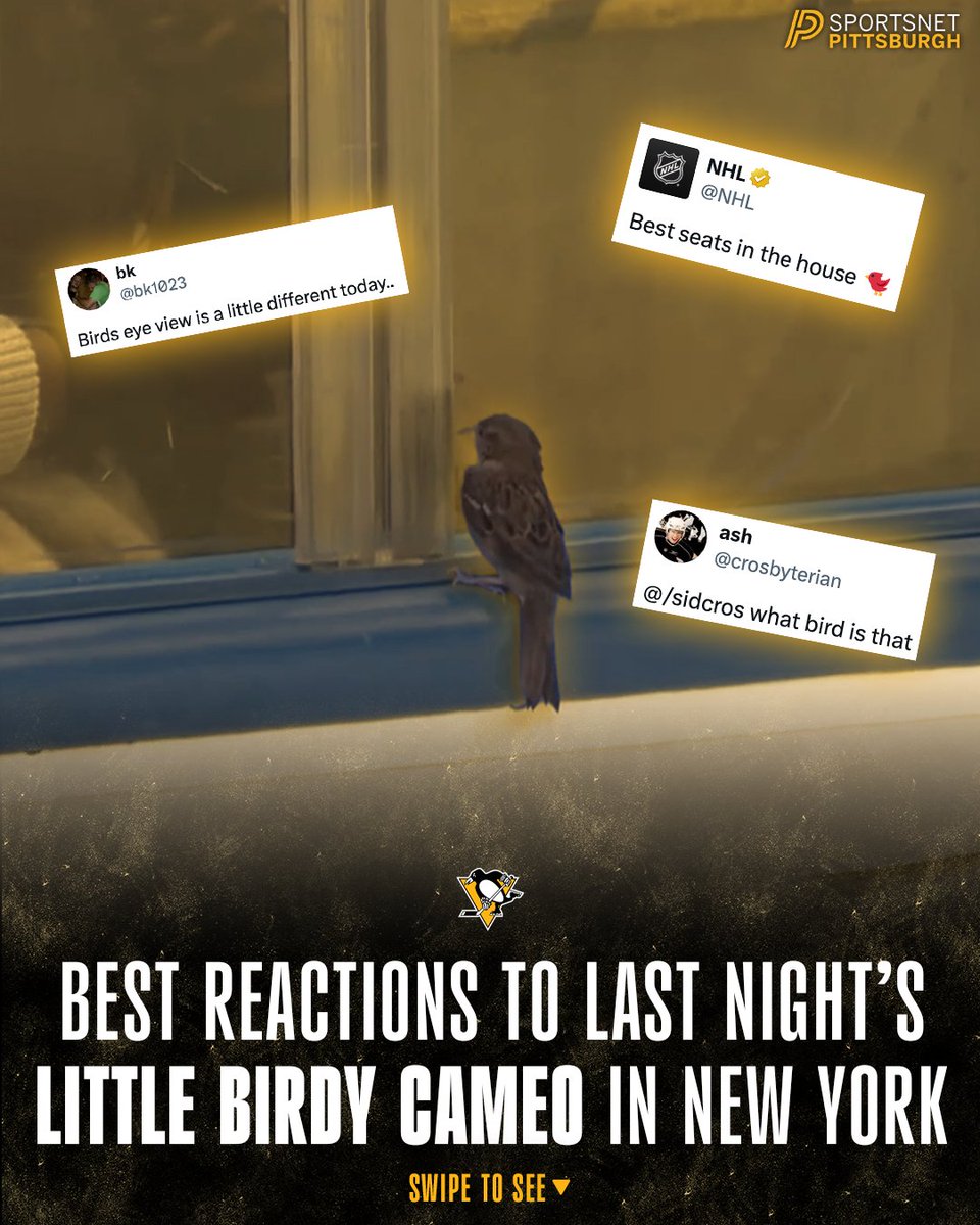 SportsNet Pittsburgh tweet media