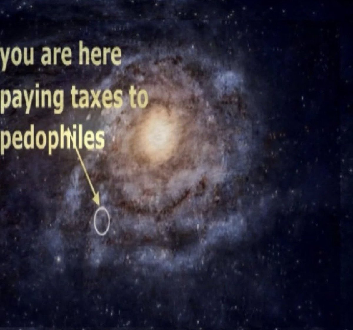 Andrew Tate (@cobratate) on Twitter photo 