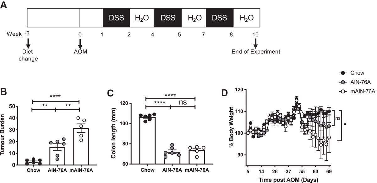 jlipidres's tweet photo. #WorldCancerDay research spotlight: "Helminth-induced prostaglandin signaling and dietary shifts in PUFA metabolism promote colitis-associated cancer" by Smith, Katherine A. et al.

➡️Access the #JLipidRes paper: https://t.co/z5xspdGXVb https://t.co/gKlIMLRz4s
