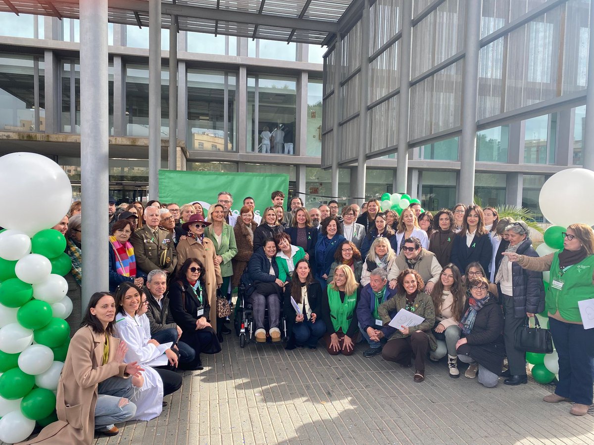 CFisioterapeutasCV tweet media