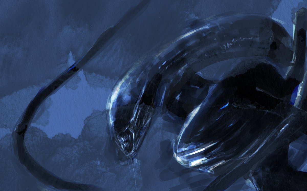 Declan Loftus tweet media