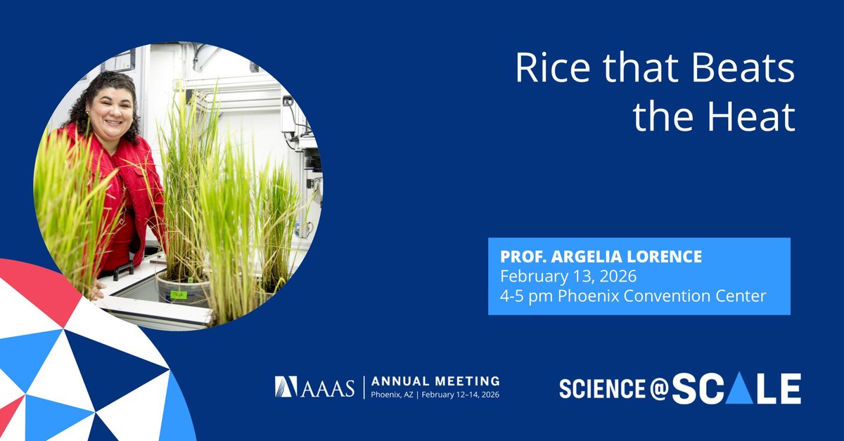 Professor Argelia Lorence tweet media