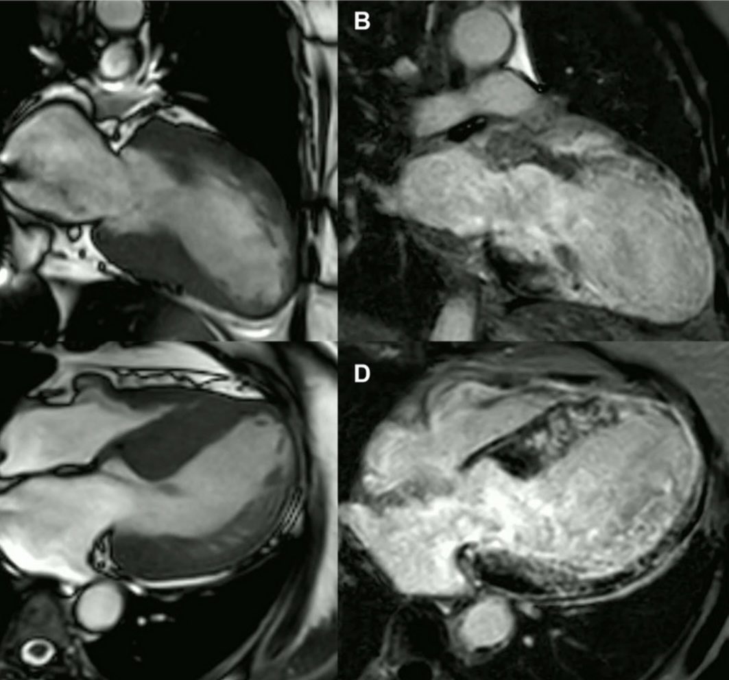 Thaís Pinheiro Lima tweet media