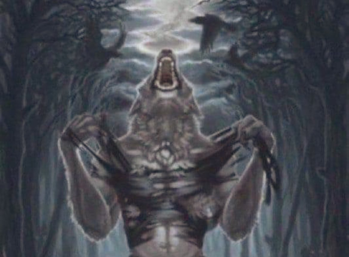 shadowverseee's tweet image. All my drafts r gone