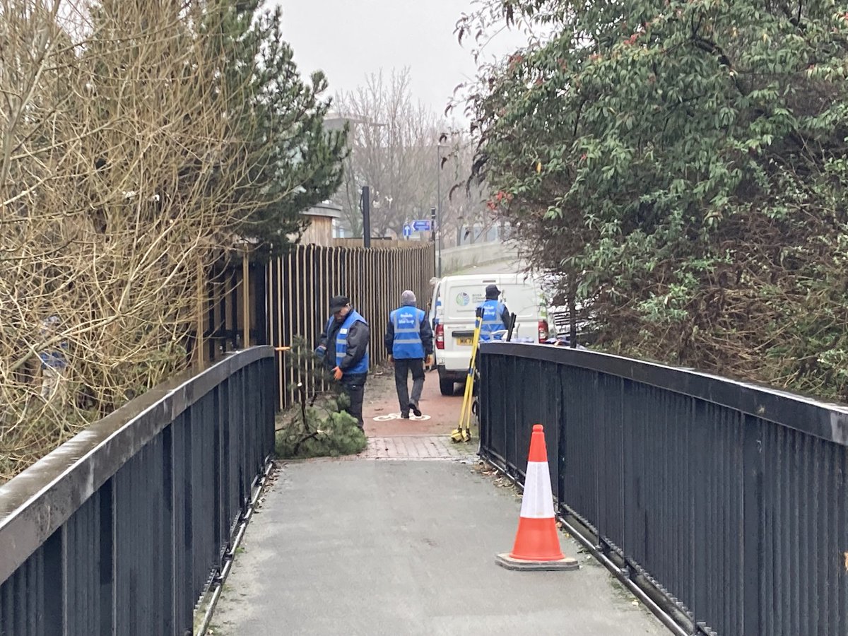 Blue loop tweet media