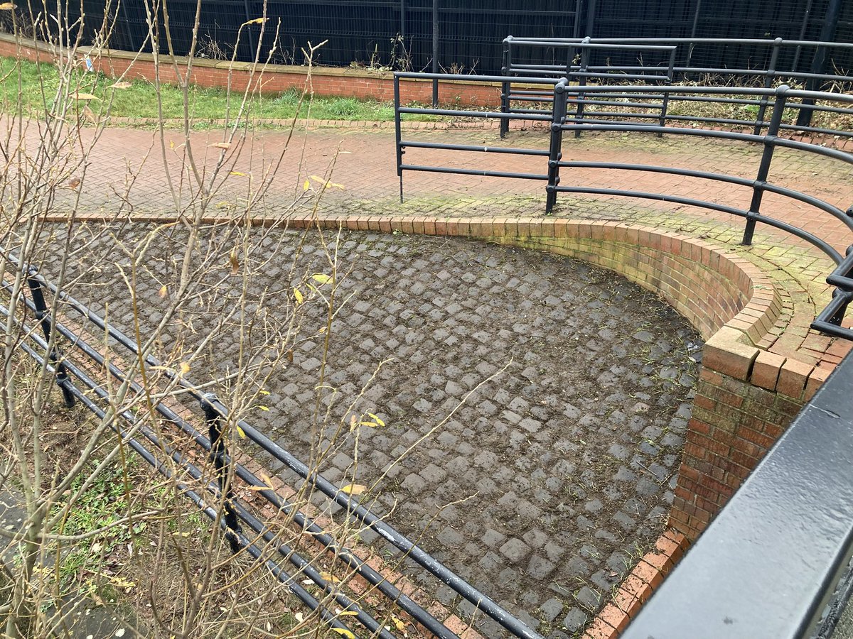 Blue loop tweet media