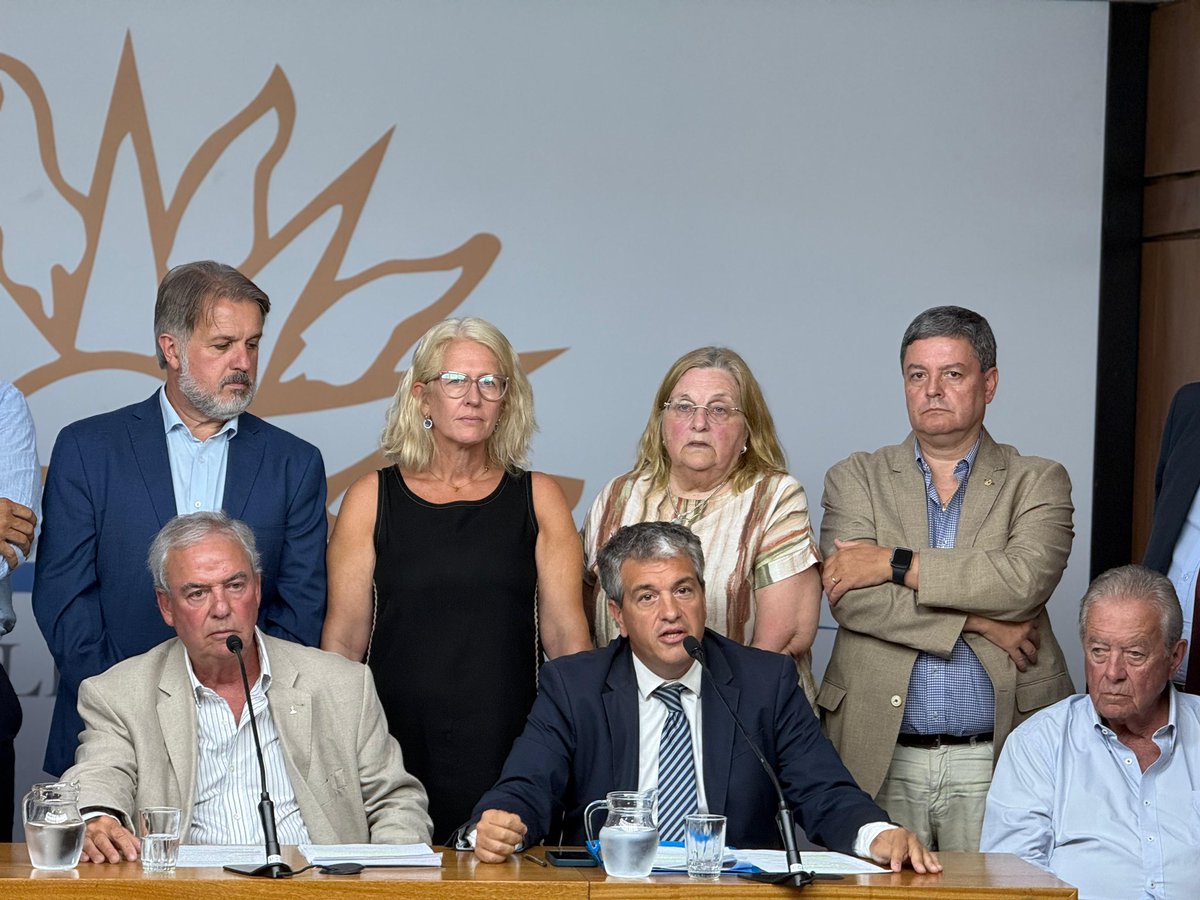 Fernanda Auersperg tweet media