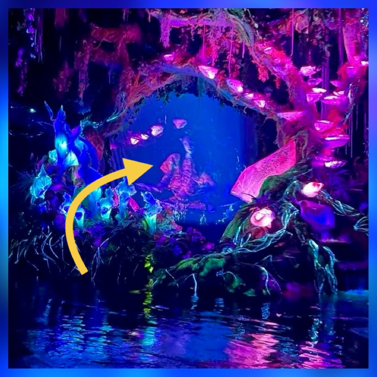 Parkeology tweet media