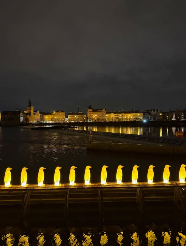 Maşallah benim meleğime #LeyaKırşan