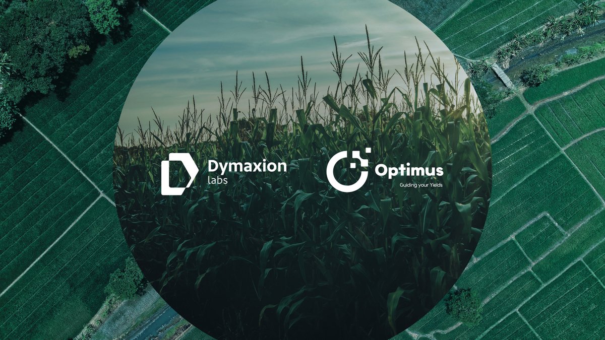 🌱 From Baufest Digital Agency, we led the rebranding of DymaxionLabs, a GDM Group company, and the strategic repositioning of Optimus, its Data &amp; AI platform for agriculture, building a clear brand identity aligned with its value proposition 👉 bit.ly/4rvEgfs