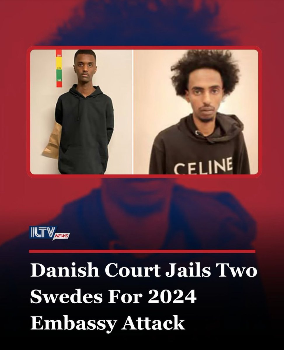 Man måste gå till utländsk media för att få en bild av vilka de två svenskarna som utförde ett terrordåd i Danmark är, nu dömda till 14 resp 12 års fängelse. 

Säg hej till Lars och Anders.