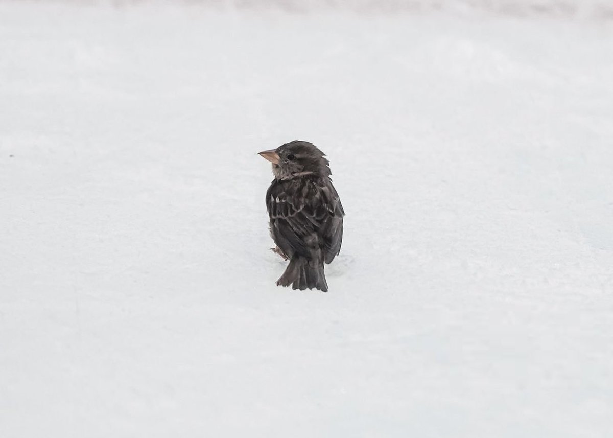 isles pics that go hard tweet media