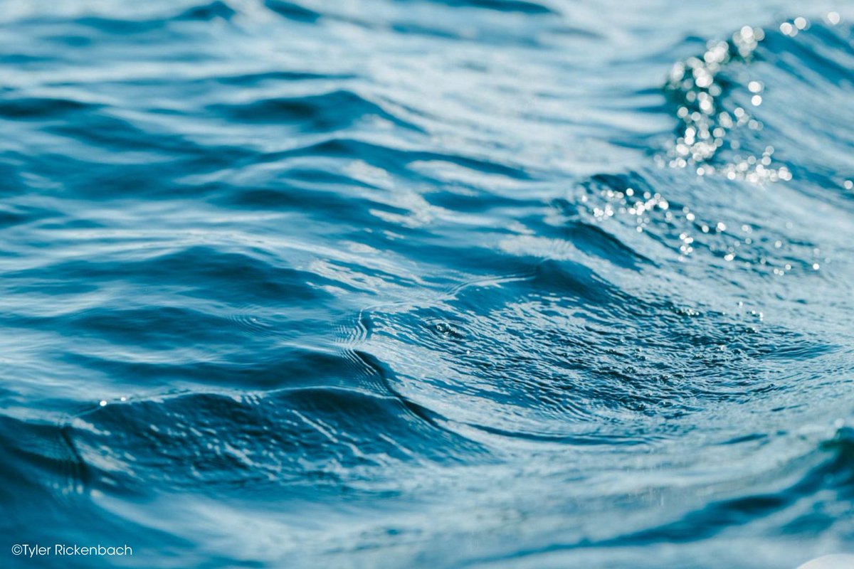 OurPPA's tweet image. Photographer Tyler Rickenbach (@TylerDBach) reviews the Sigma (@Sigma_Photo) 135mm F1.4 DG Art lens, finding the distance maintained from the subject and the compression of the background reframe the story of the portrait. ppa.com/ppmag/articles…