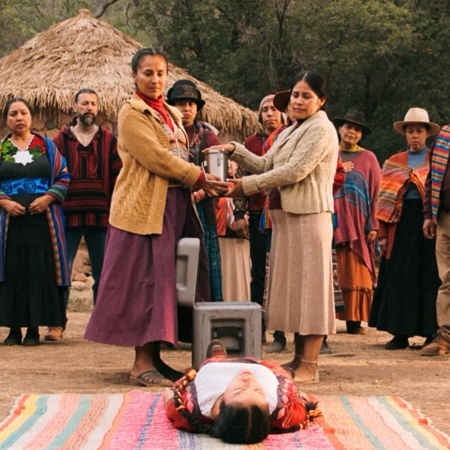 something something. alienation from the self. assimilation as a consolation prize for community. the virus that colonizes you.