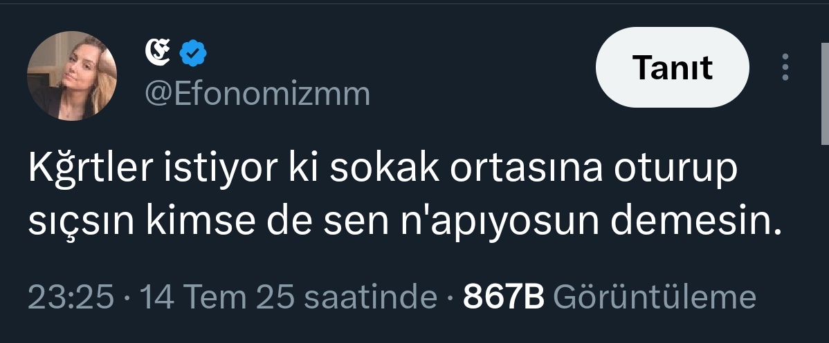 Sorun dedikleri tam olarak bu. 
Sorunlarına sokayım. 

İyi geceler.