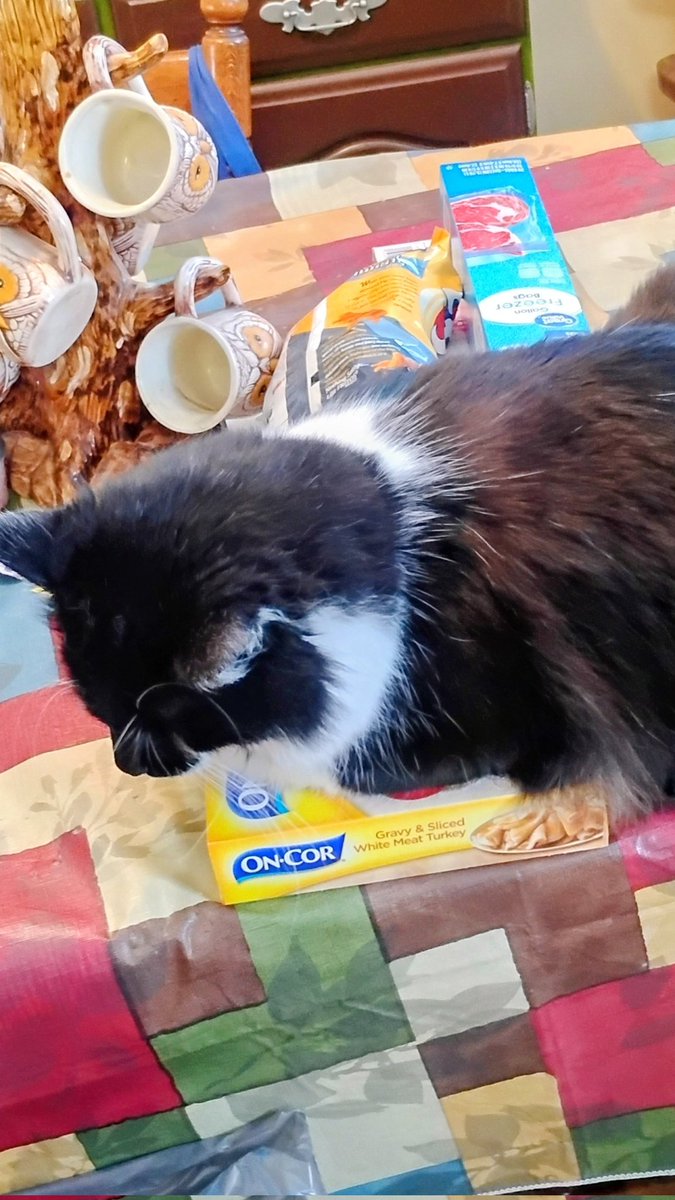 This is Leo's turkey, if you ask nicely he might share with you! ♥️🐾