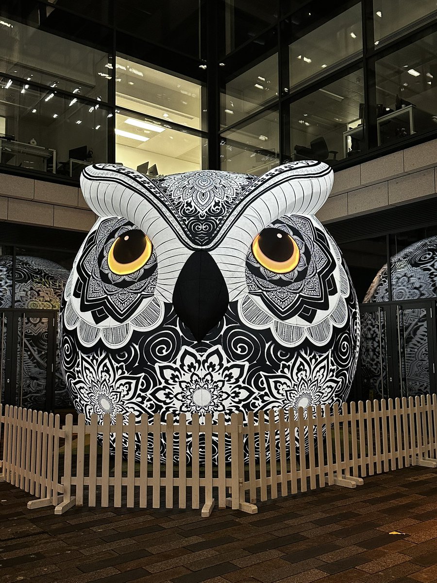 Stephen Leiper tweet media