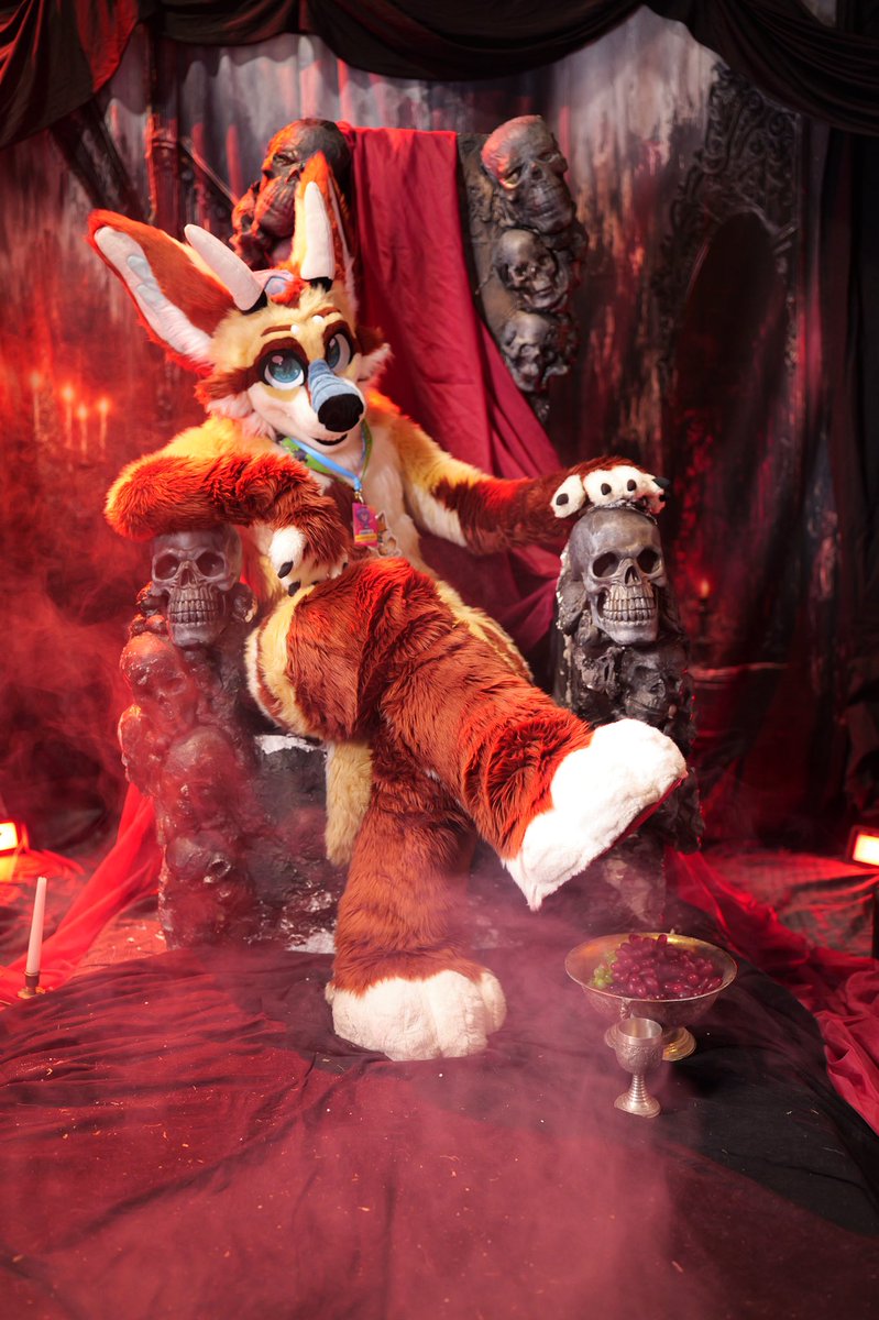 CoVahr 🦊🐉🎹 tweet media