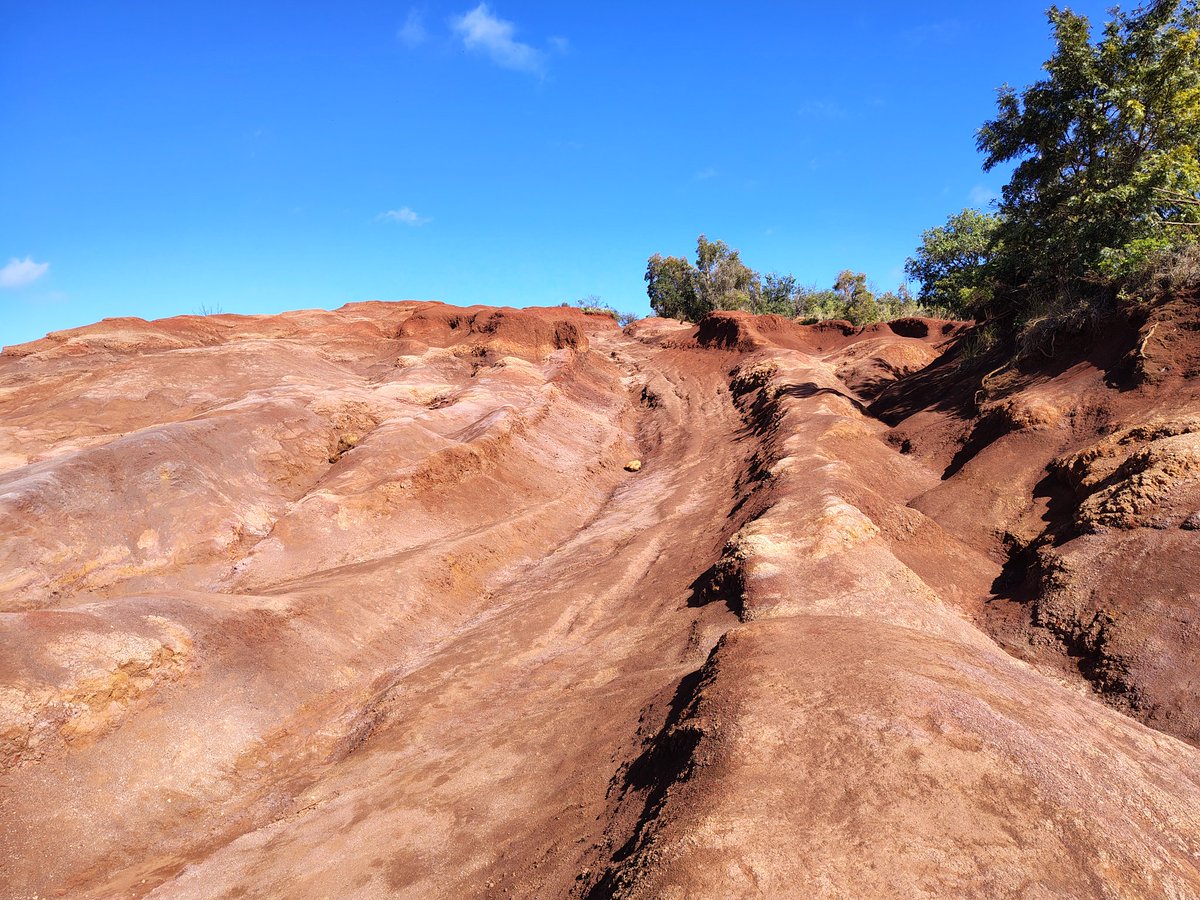 Arizona is beautiful this time of year.