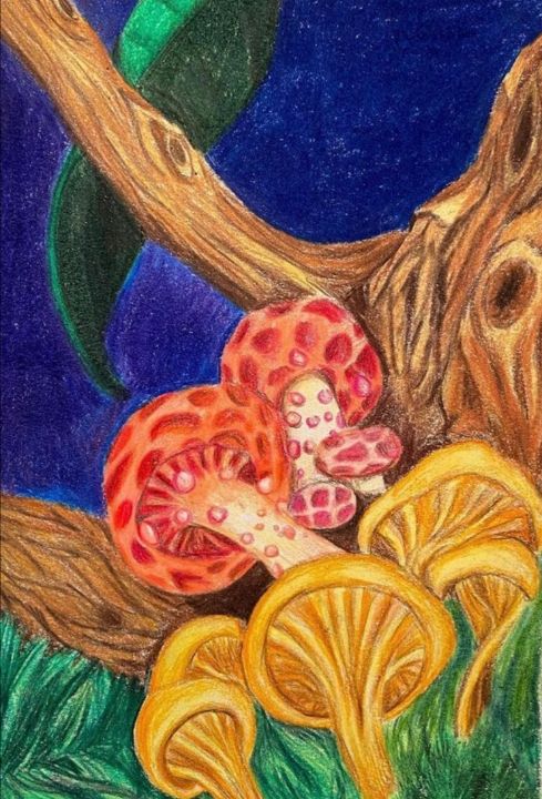 destindraws's tweet photo. Art of the Day! "Mushroom". Buy at: https://t.co/eEUXhW6Xbz https://t.co/NlR4AlfNGS