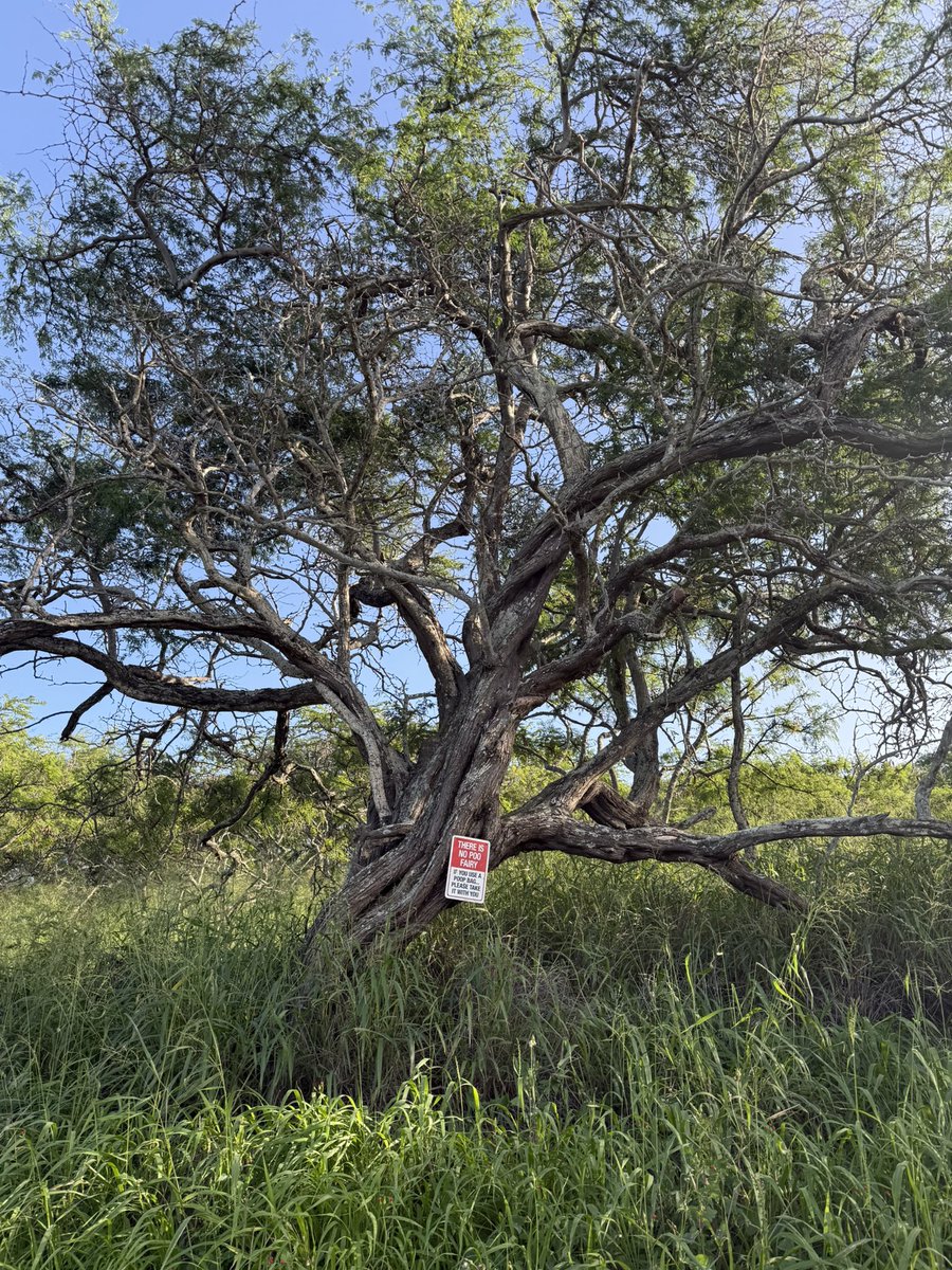 RADICALRP tweet media