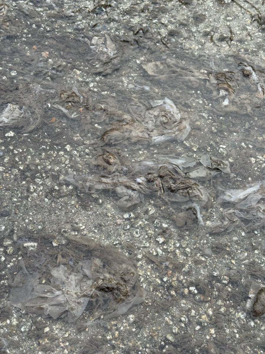 Andy Snapes FRSA 🇺🇦 tweet media