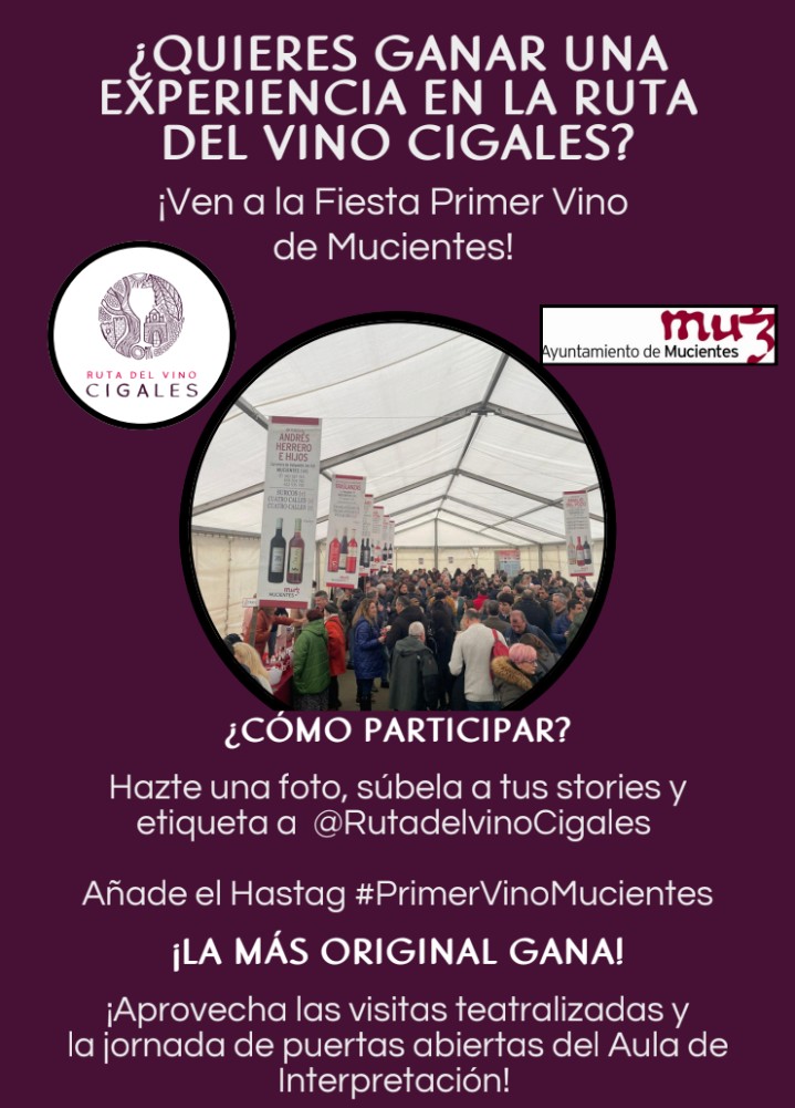 bodega.aulamuzvino tweet media