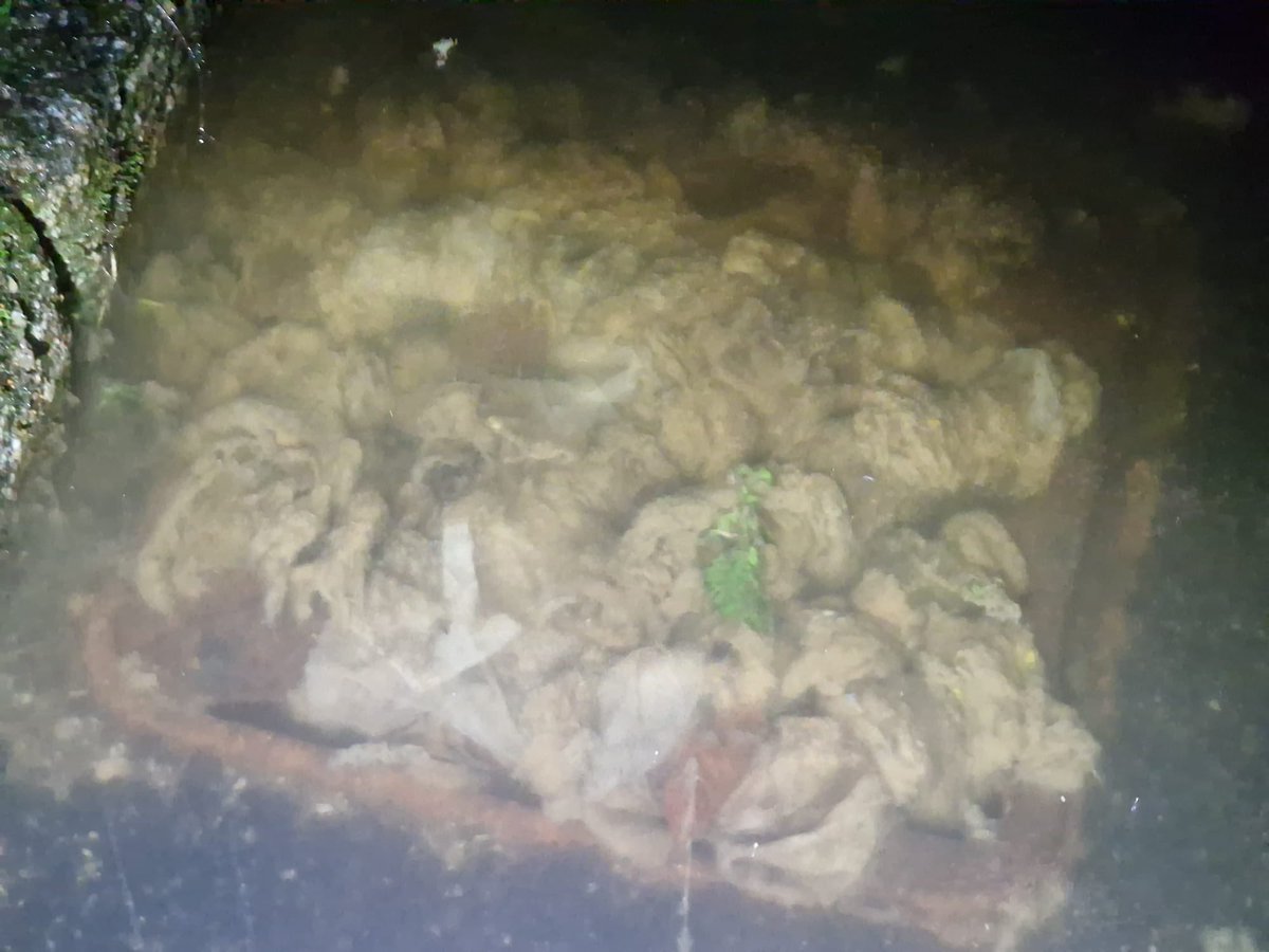 Andy Snapes FRSA 🇺🇦 tweet media