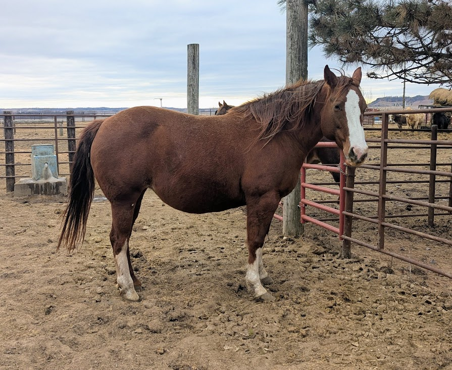 Michele Simpson tweet media