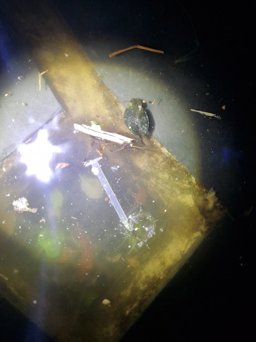 Andy Snapes FRSA 🇺🇦 tweet media