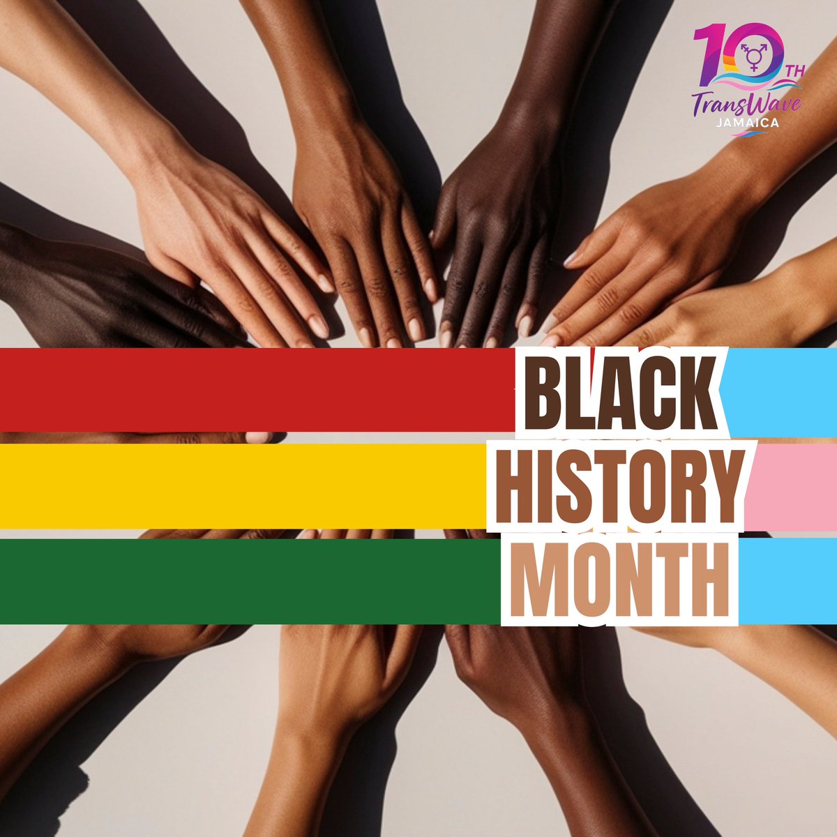 TransWave Jamaica tweet media