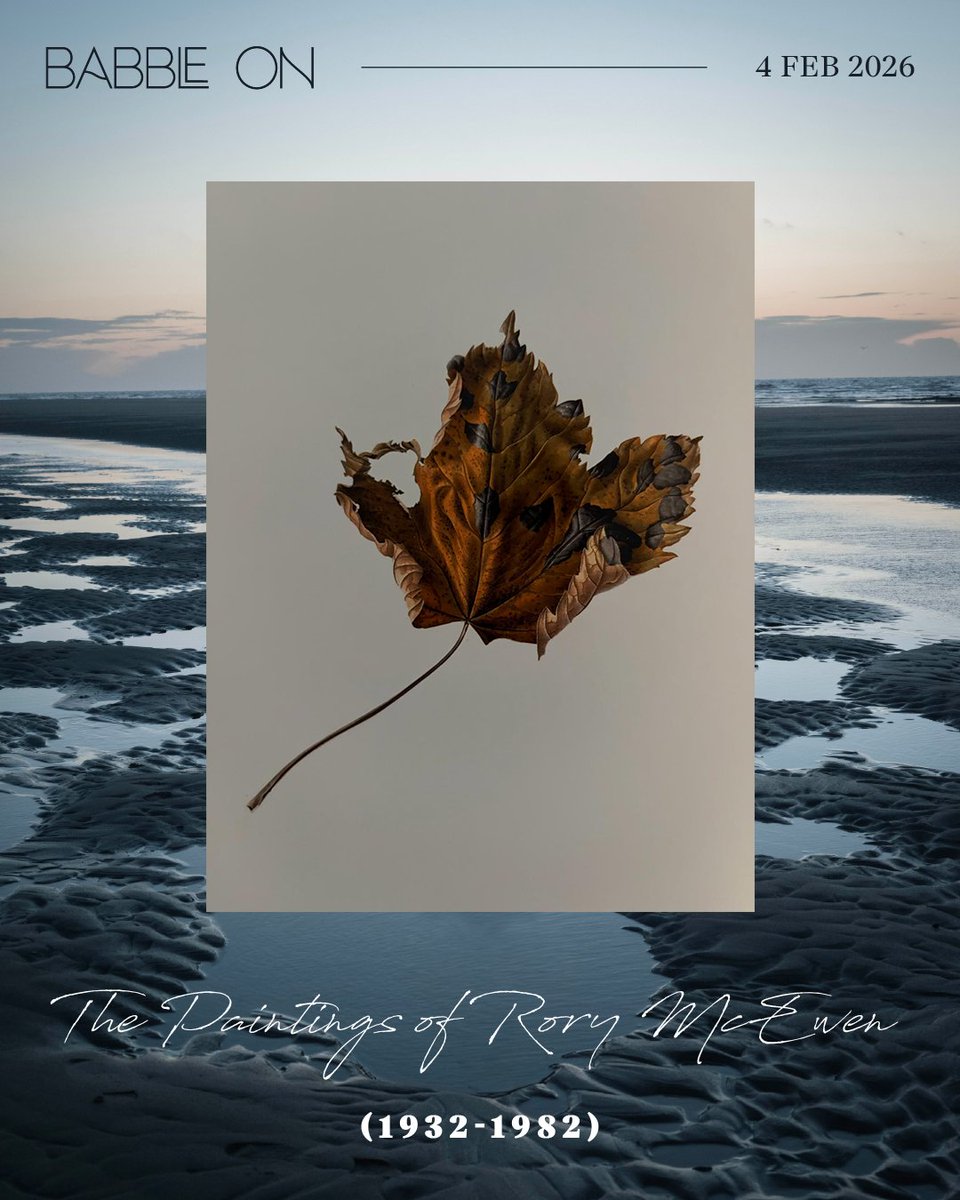 David Gray tweet media