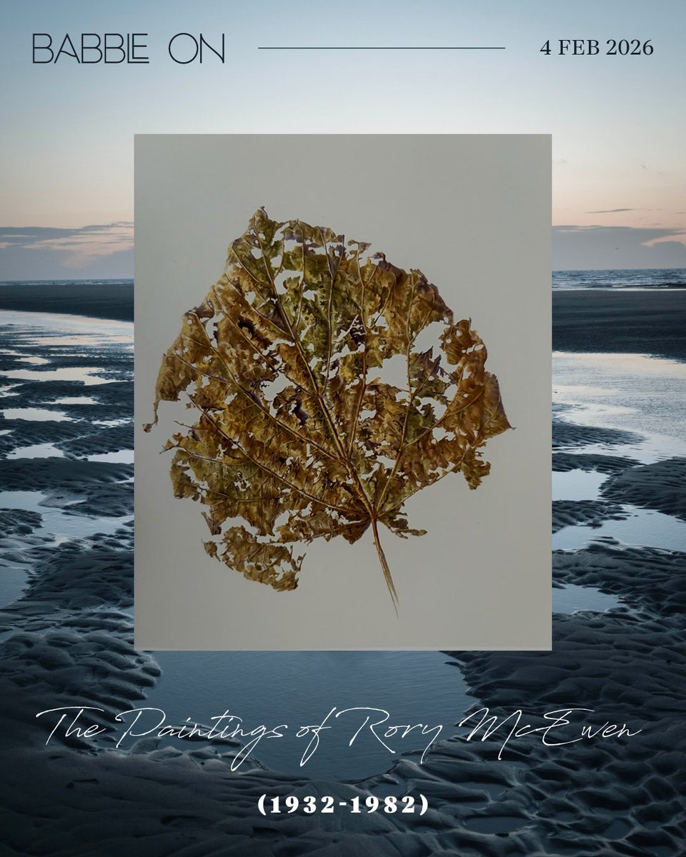 David Gray tweet media