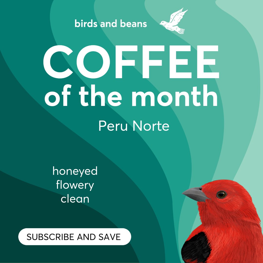 Coffee of the Month for February is Peru Norte - subscribe and save 10% #BirdFriendlyCoffee