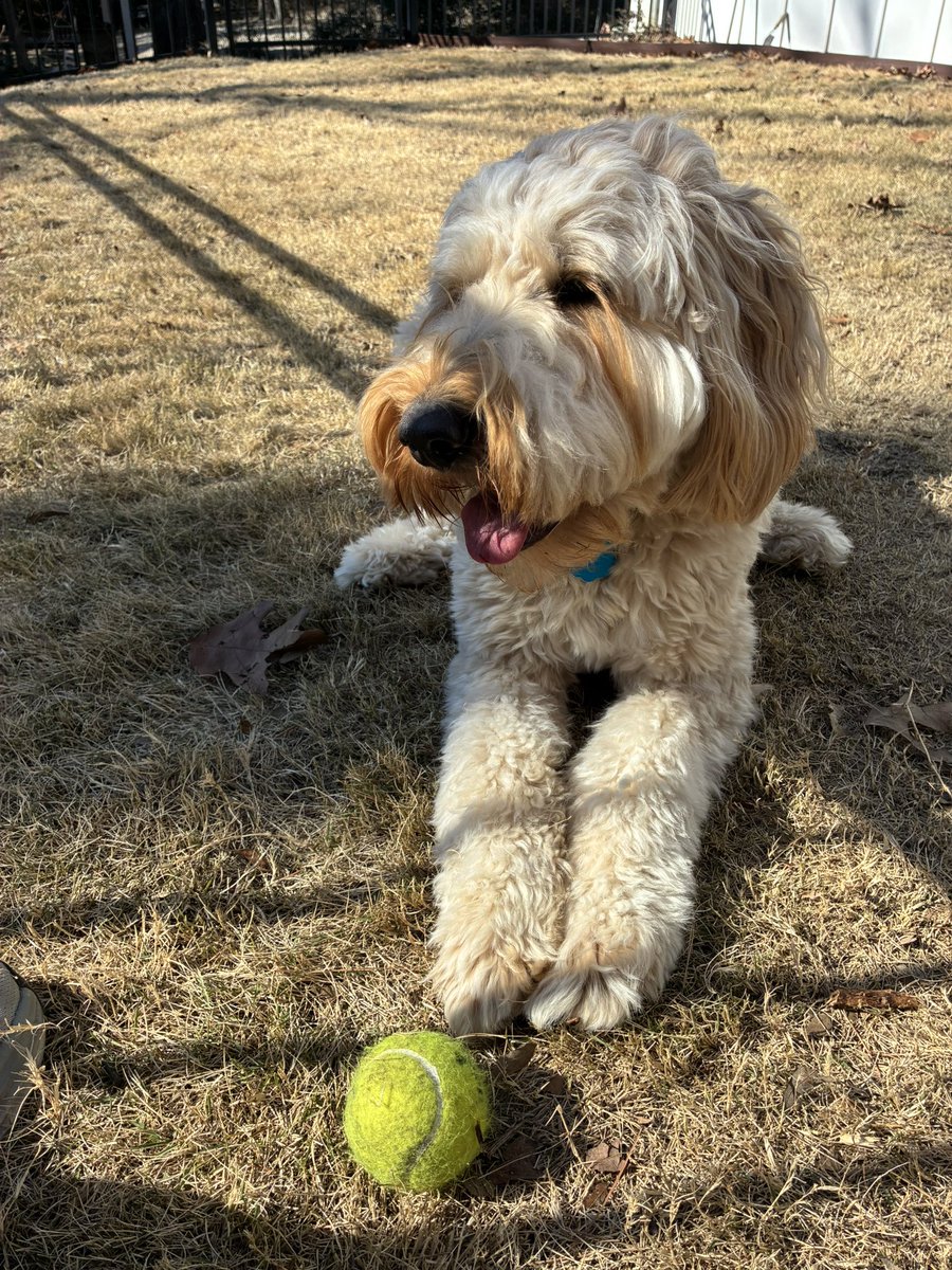 stephen quisenberry tweet media