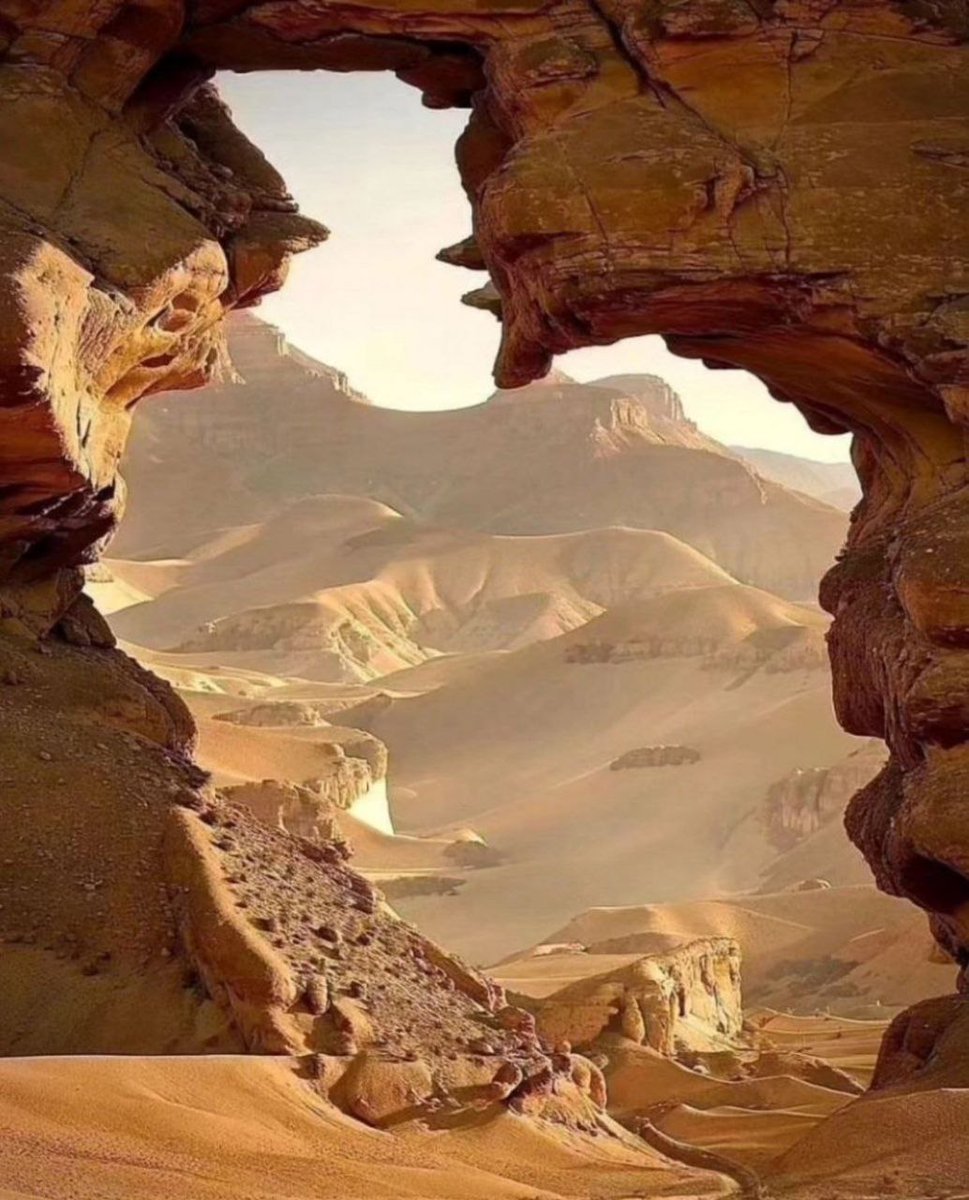 عادل آل عرعر (عریعر) الخالدي tweet media