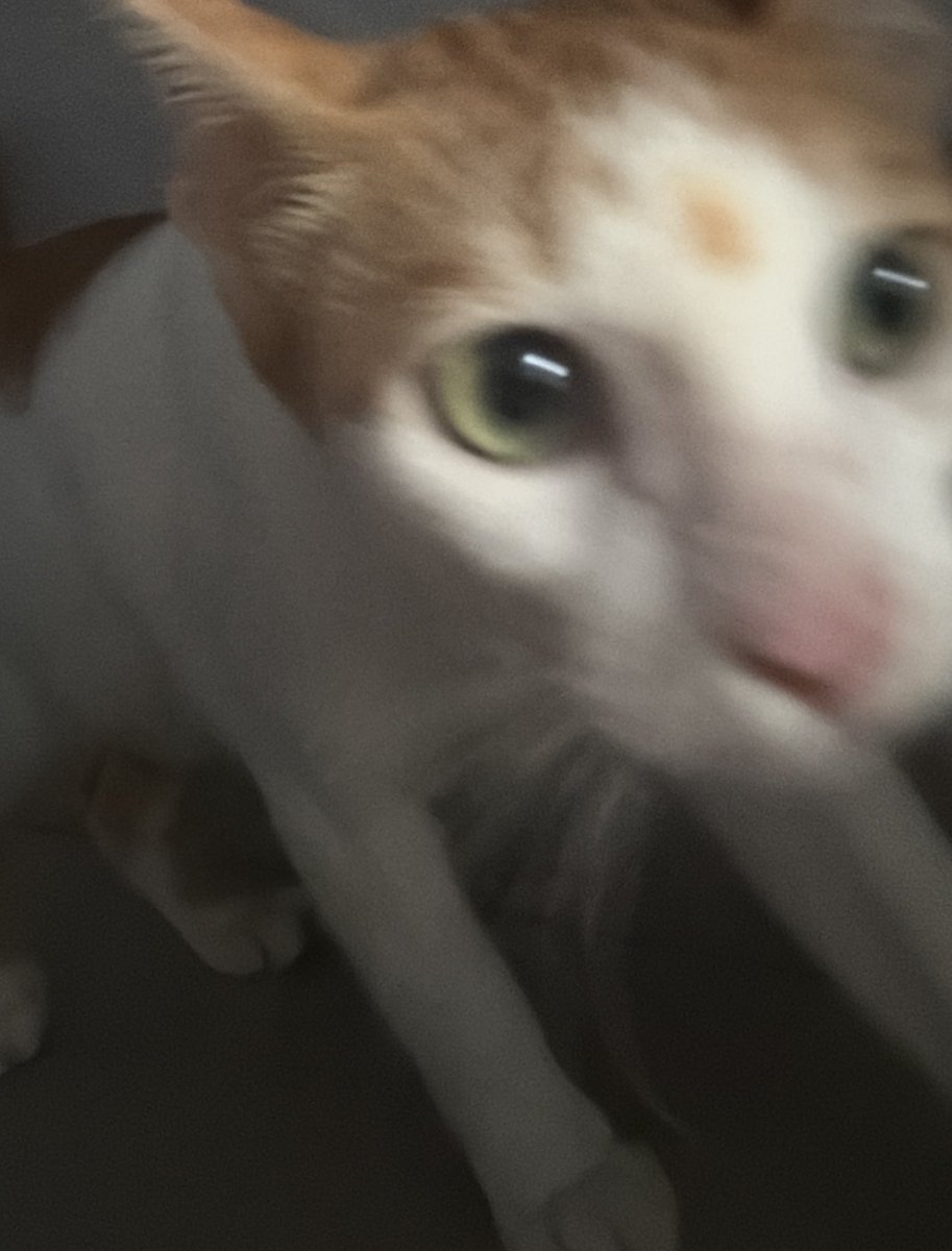 cek ht masuk? #zonauangᅠ