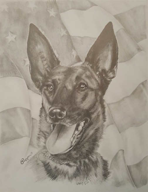 Honoring Army MWD Pepper SOF, Unknown - February 4, 2006, Killed In Action, Iraq, OIF