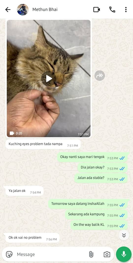 𝐦𝐢𝐨𝐰🐾 tweet media