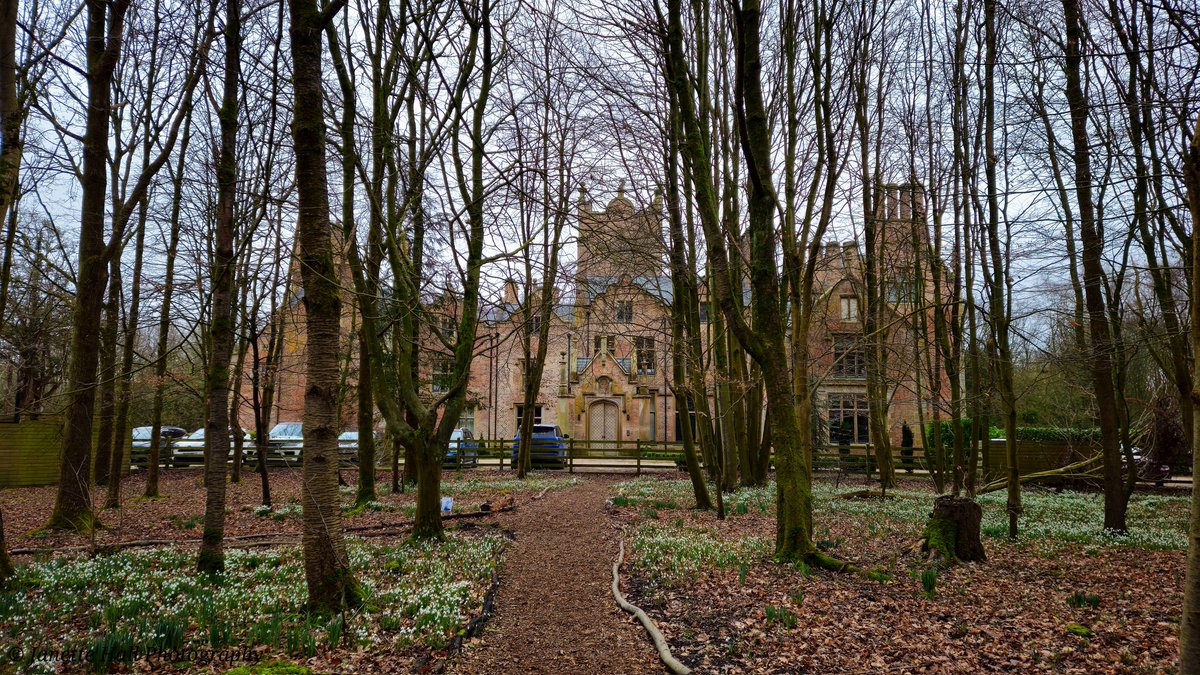 JanetteHall's tweet photo. Was a great afternoon visiting Bank Hall, amazing snowdrops display 🤍
#bankhall #snowdrops #colours #nature #NaturePhotography #NatureBeauty #naturelovers #green #white #plants #petals #frost #cold #flowers #flower #FlowerPower #FlowerHour #signofspring @VisitLancashire https://t.co/elVg1WU7d4