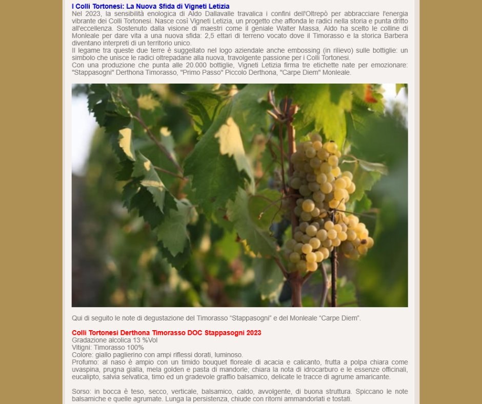 MauroBertolli's tweet photo. Finigeto e Vigneti Letizia: una visione su due territori, Oltrepò Pavese e Colli Tortonesi
Su italiadelvino l'articolo completo, contenuto nelle foto 2, 3 e 4 di questo post
#Finigeto #VignetiLetizia #AldoDallavalle
#OltrepòPavese #ColliTortonesi
#italiadelvinobertolli https://t.co/b9lcEDWdss