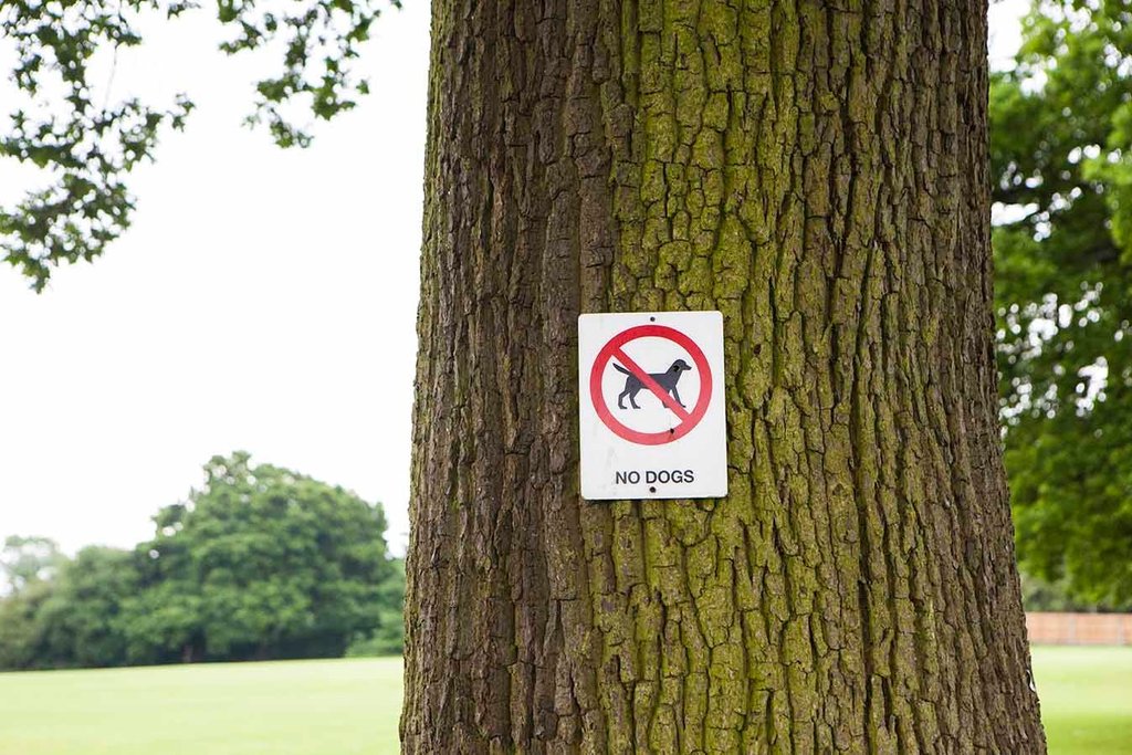 Cobham Avorians CC tweet media