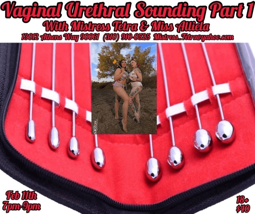 The Ins &amp; Outs of Vaginal Urethral Sounding "Part 1"
You want me to stick that wear?
Wed, Feb 11, 2026
7:00 PM - 9:00 PM 
This class will be ONLY verbal instructions &amp; a visual demo. Those who are interested in getting some personal hands-on experience will have to attend Part 2