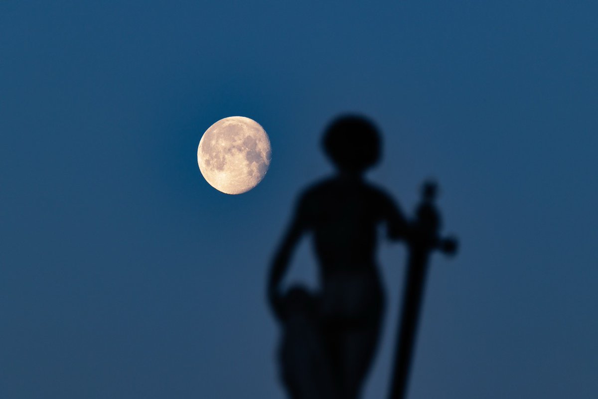 JardinLuco's tweet photo. 🌕 Pleine ou nouvelle, la lune veille toujours sur le Jardin du Luxembourg https://t.co/TVDQWbcwmb