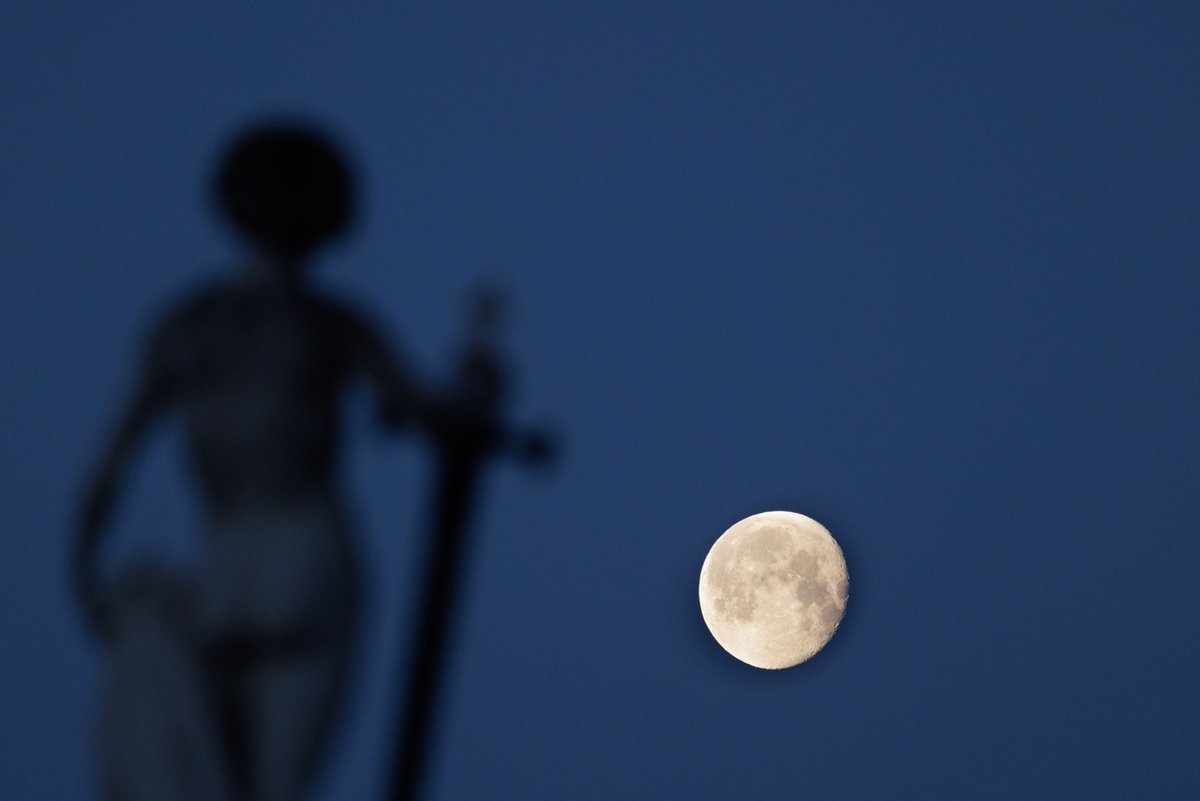 JardinLuco's tweet photo. 🌕 Pleine ou nouvelle, la lune veille toujours sur le Jardin du Luxembourg https://t.co/TVDQWbcwmb
