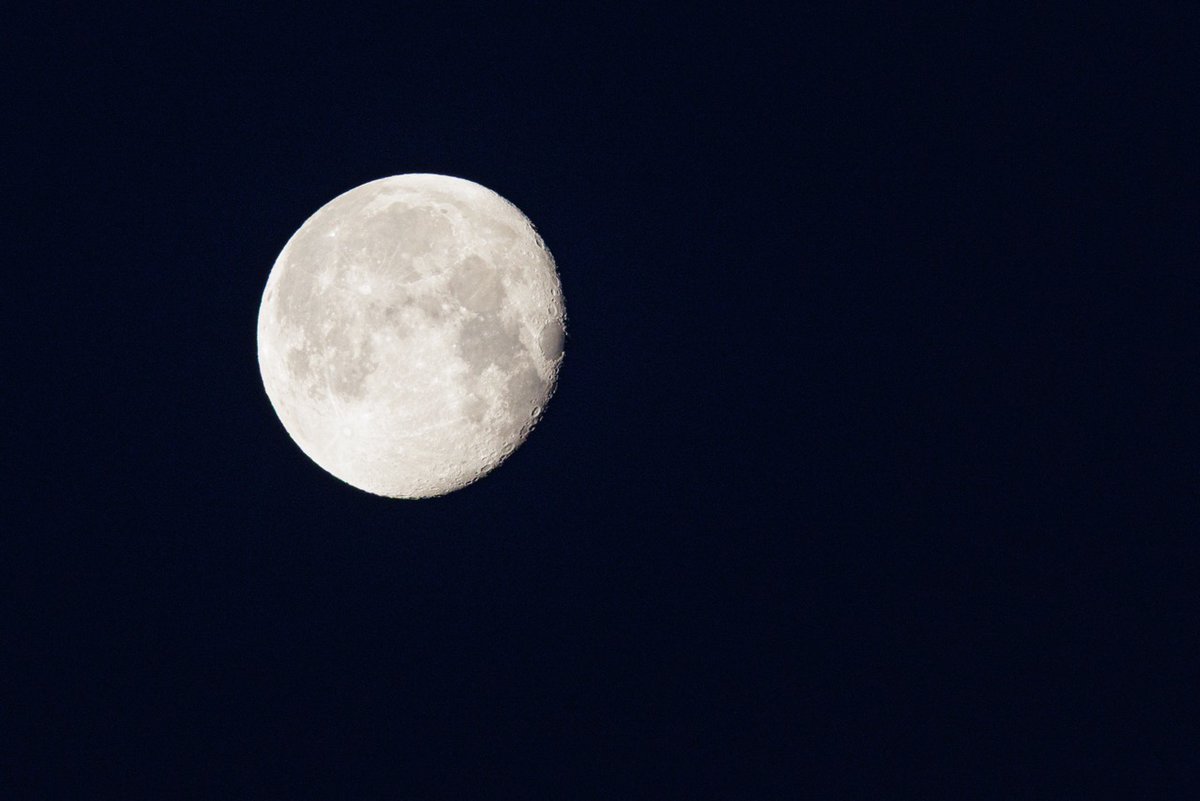 JardinLuco's tweet photo. 🌕 Pleine ou nouvelle, la lune veille toujours sur le Jardin du Luxembourg https://t.co/TVDQWbcwmb