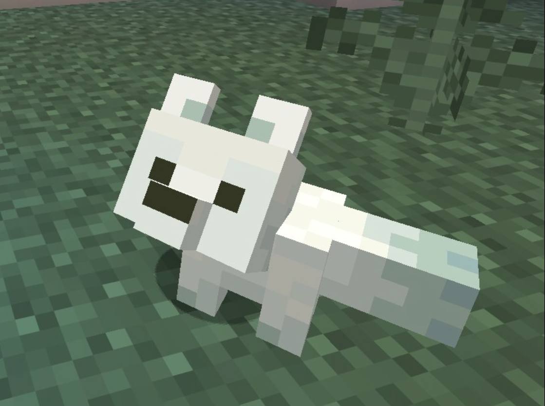 Daily Arctic Fox tweet media